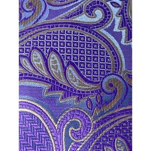 Barry Wang Men's Silk Tie Purple Paisley Formal Necktie